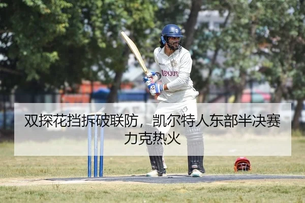 双探花挡拆破联防，凯尔特人东部半决赛力克热火